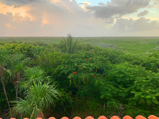 Casa Perla bedroom jungle view